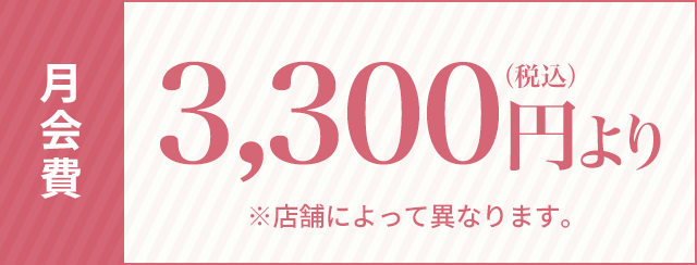 月額3,300円（税込）より